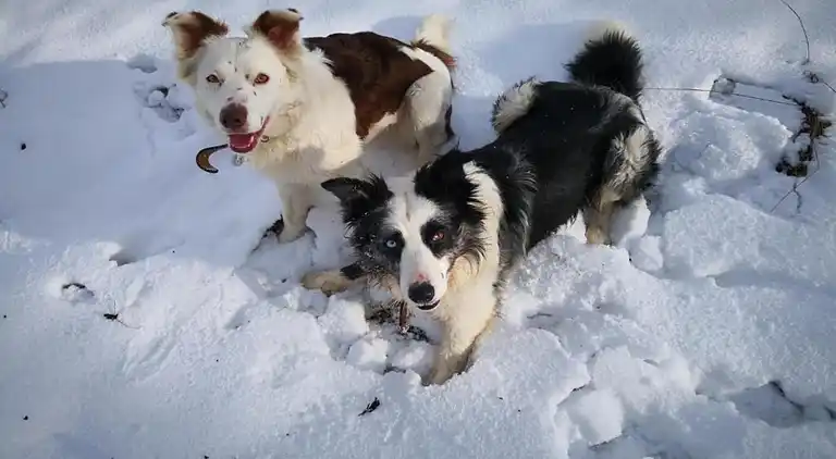 Apartment in Madfeld