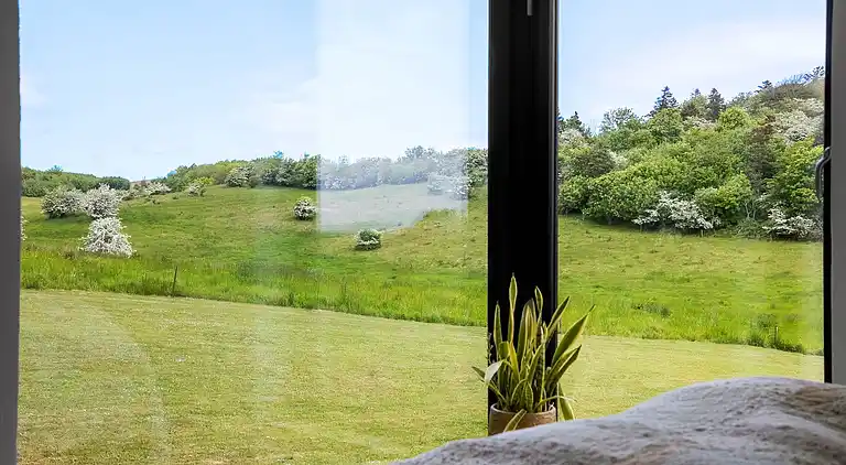 Flott hus i fantastiske omgivelser ved Limfjorden