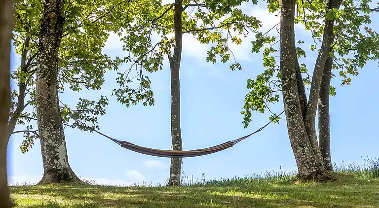 Flott hus i fantastiske omgivelser ved Limfjorden