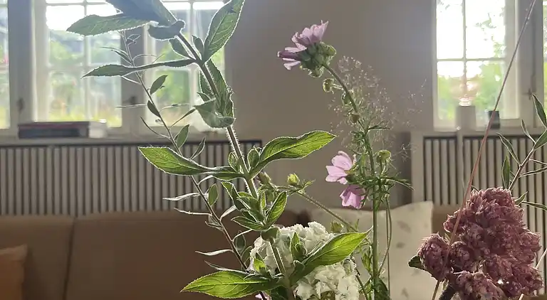 Ro i smukt renoveret landhus i Ålsgårde