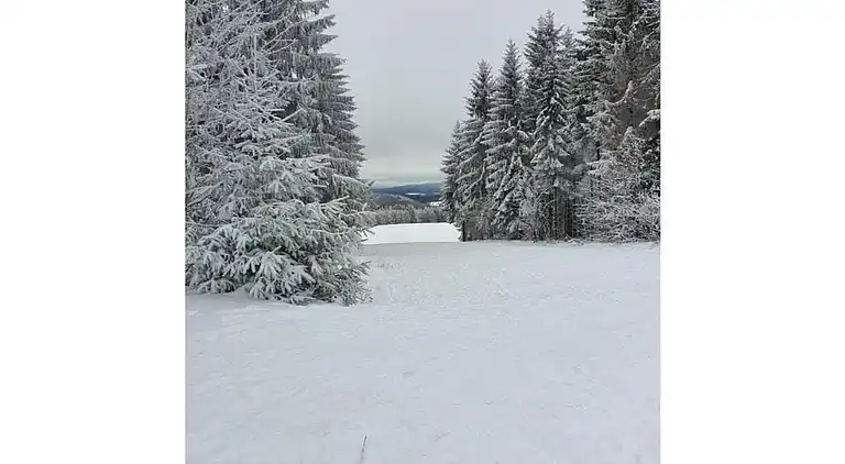 Sommerhus i Lichtenau