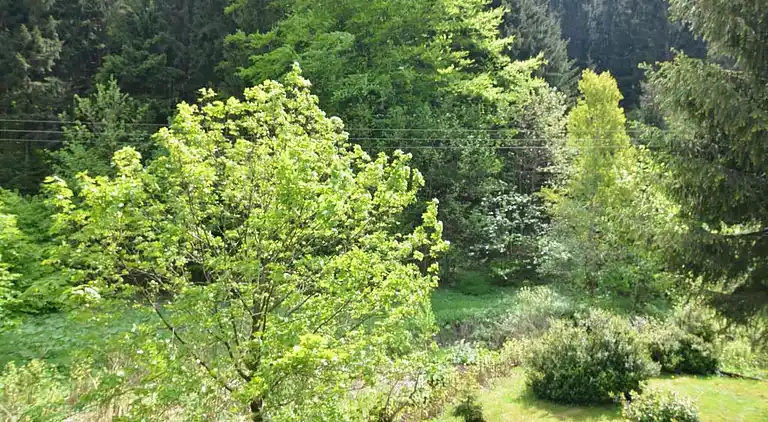 Sommerhus i Lichtenau