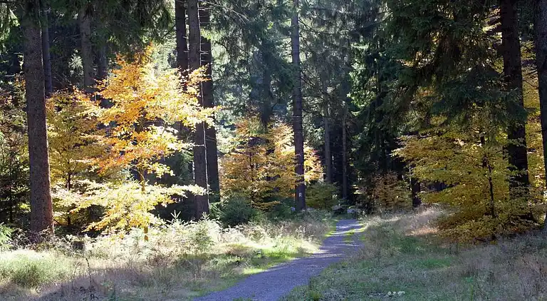 Sommerhus i Lichtenau
