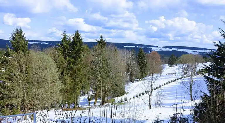 Holiday home in Europe