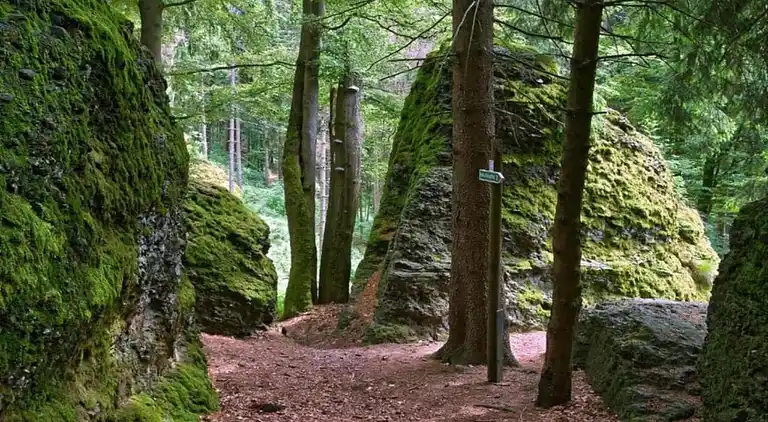 Sommerhus i Altenfeld