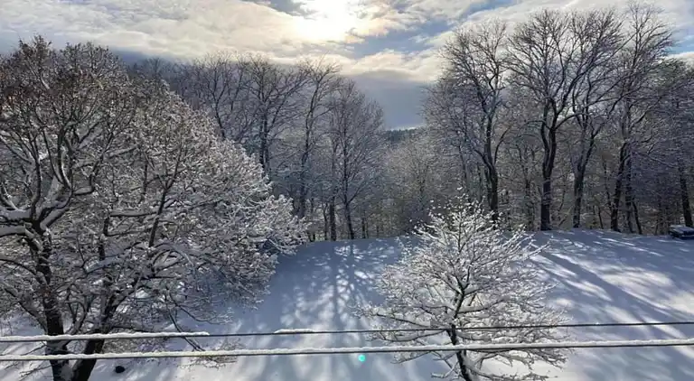 Holiday home in Altenfeld