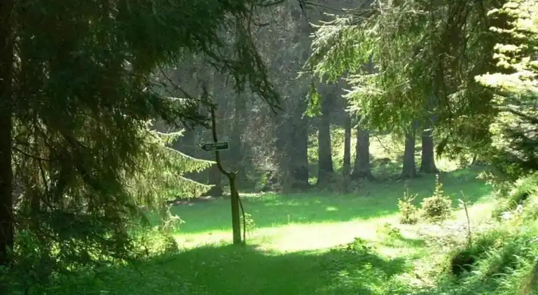 Sommerhus i Altenfeld