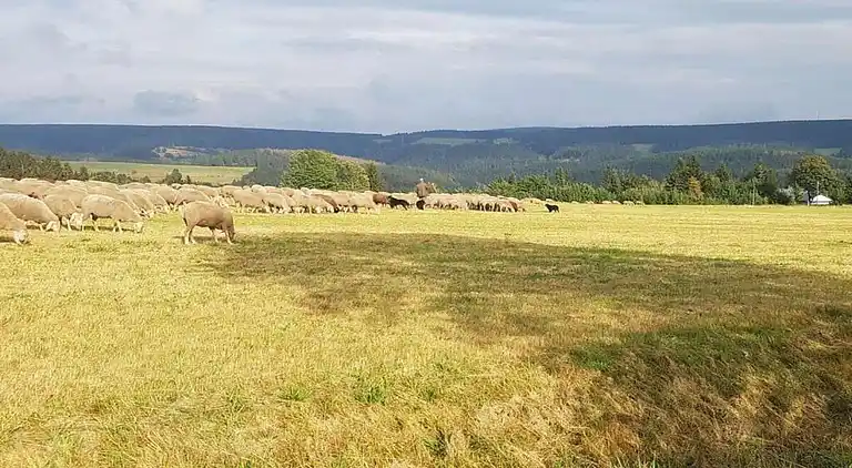 Sommerhus i Lichtenau