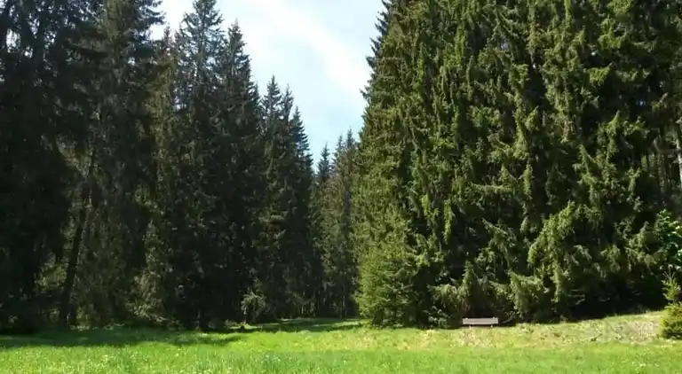 Sommerhus i Altenfeld