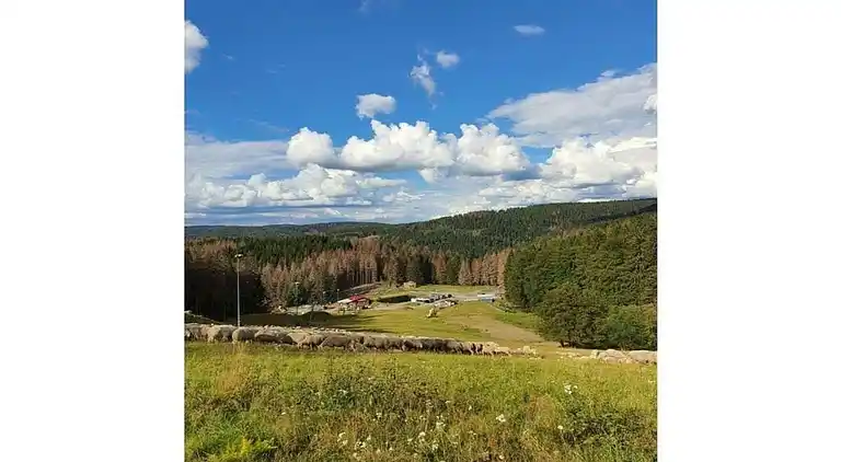 Sommerhus i Lichtenau