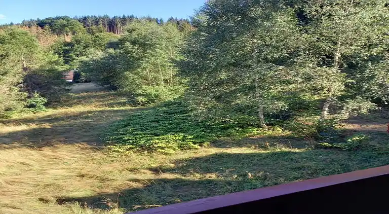 Sommerhus i Schönbrunn