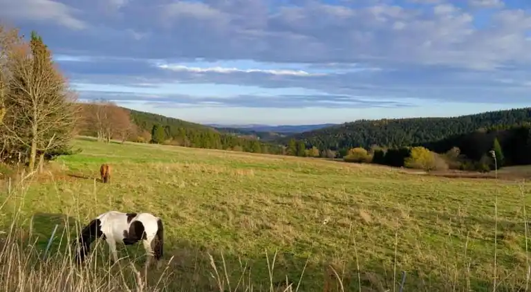 Holiday home in Altenfeld