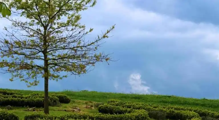 Holiday home in Altenfeld