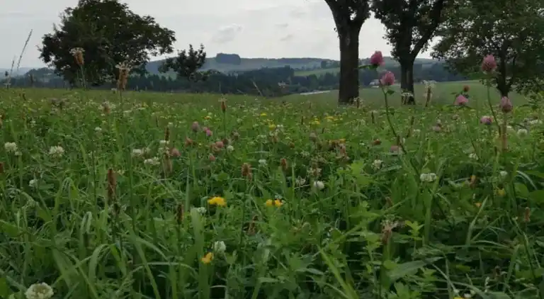 Holiday home in Altenfeld