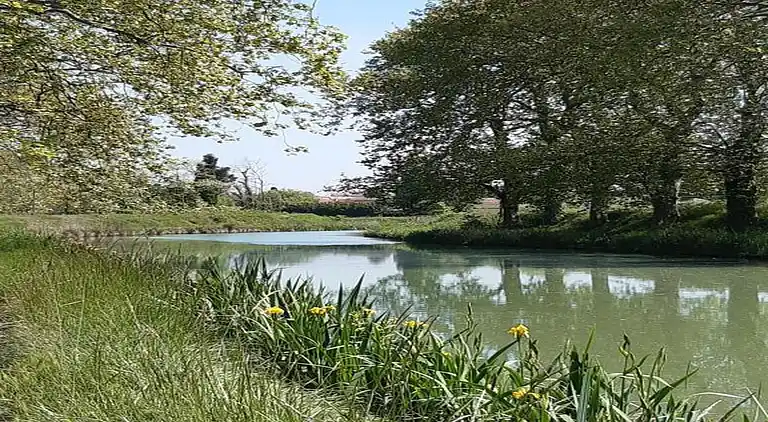 Sommerhus i Colombiers