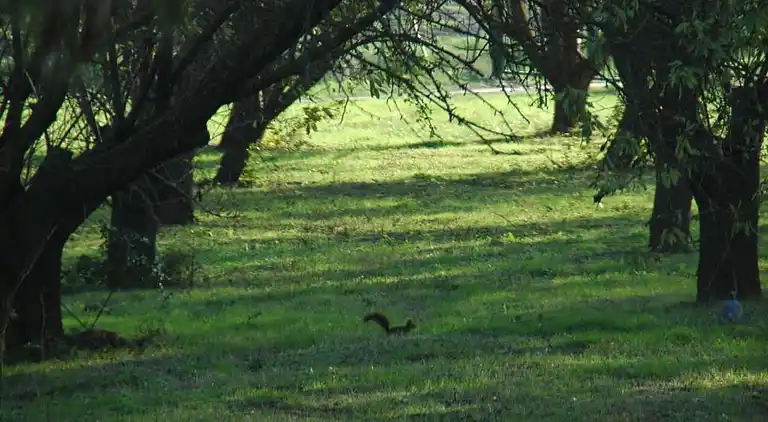 Sommerhus i Colombiers