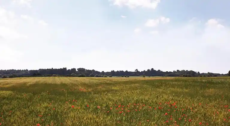 Sommerhus i Colombiers