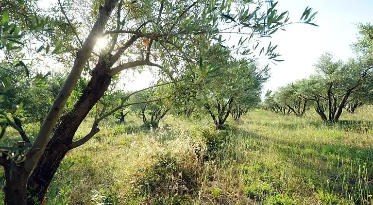Sommerhus i Colombiers