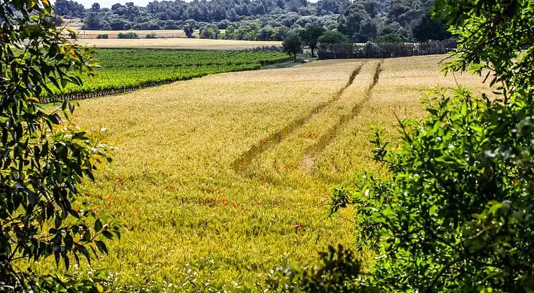 Sommerhus i Colombiers