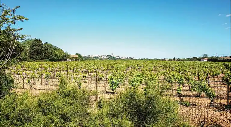 Sommerhus i Colombiers