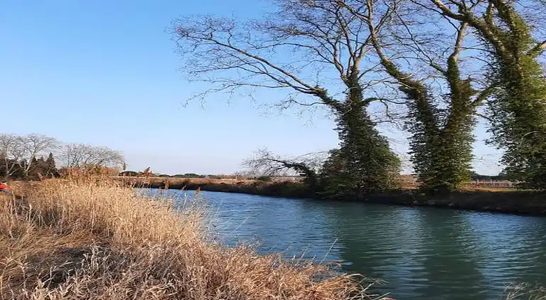 Sommerhus i Colombiers