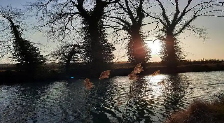 Sommerhus i Colombiers