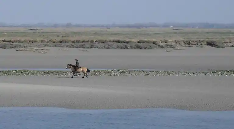 Ferielejlighed i Cayeux-sur-Mer