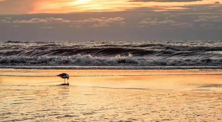 vakantiehuis in South Holland