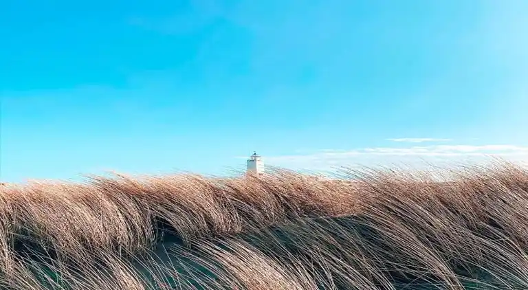 Holiday home in South Holland