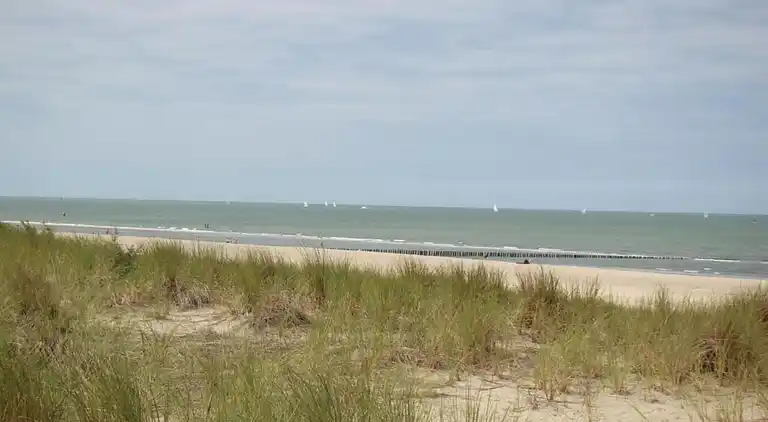 Ferienhaus in Zuidzande