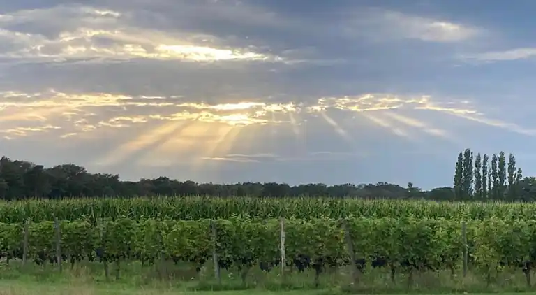 Ferienhaus in Hengelo