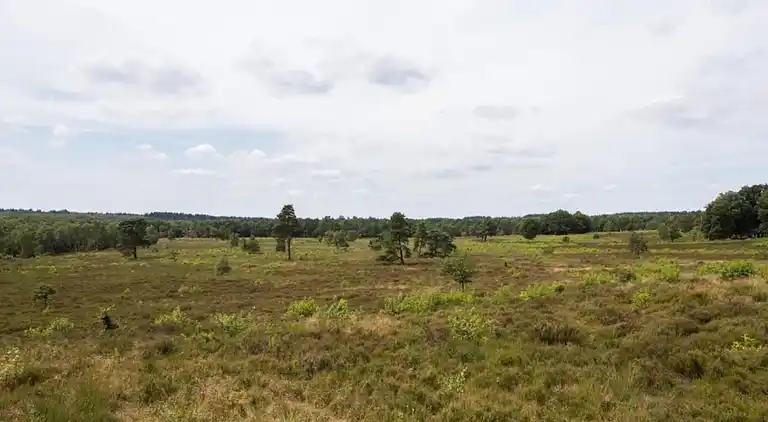 Bungalow i Hoenderloo