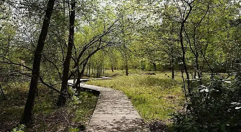 Sommerhus i Hoenderloo