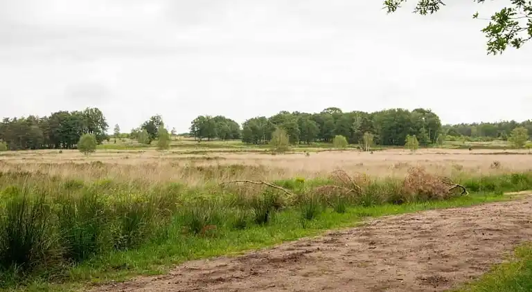 Bungalow i Hoenderloo