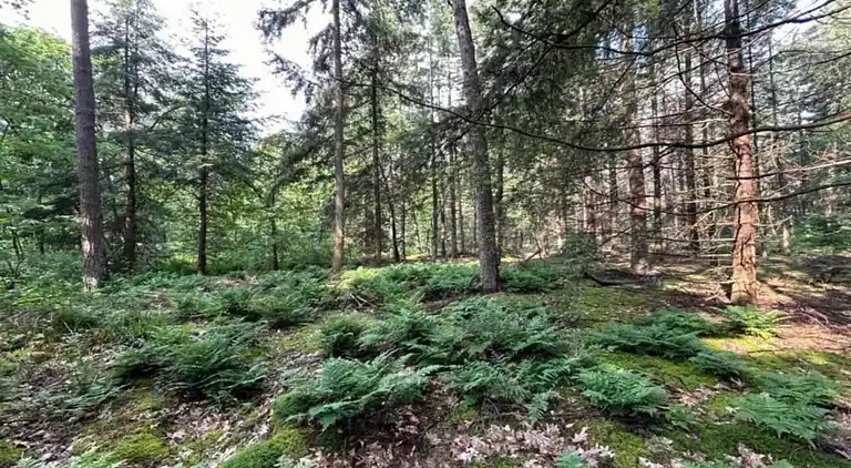 Ferienhaus in Hengelo