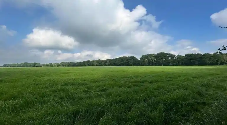 Ferienhaus in Hengelo