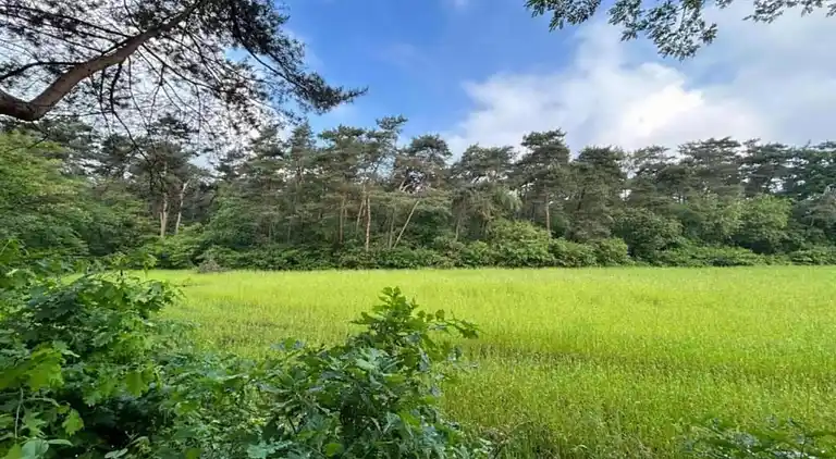 Ferienhaus in Hengelo
