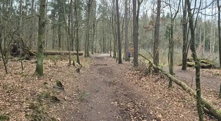 Bungalow i Hoenderloo