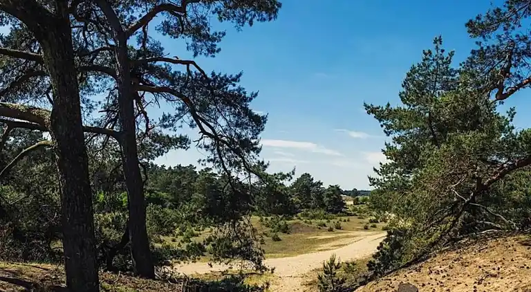 Bungalow i Hoenderloo