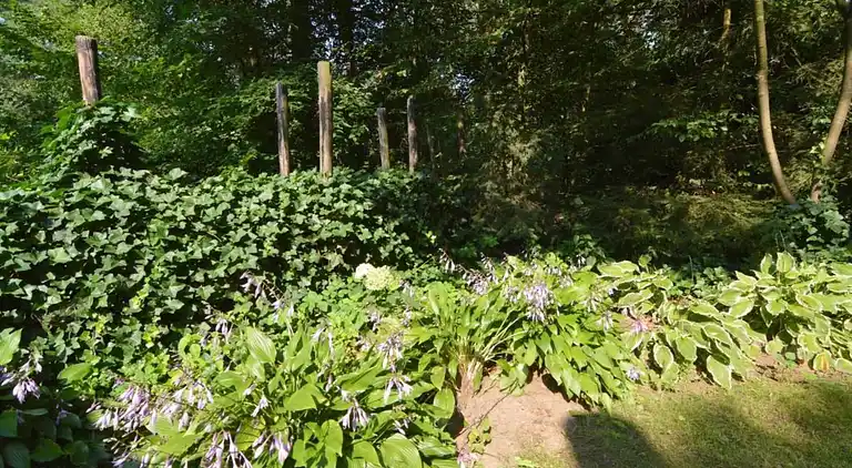 Ferienhaus in Hengelo