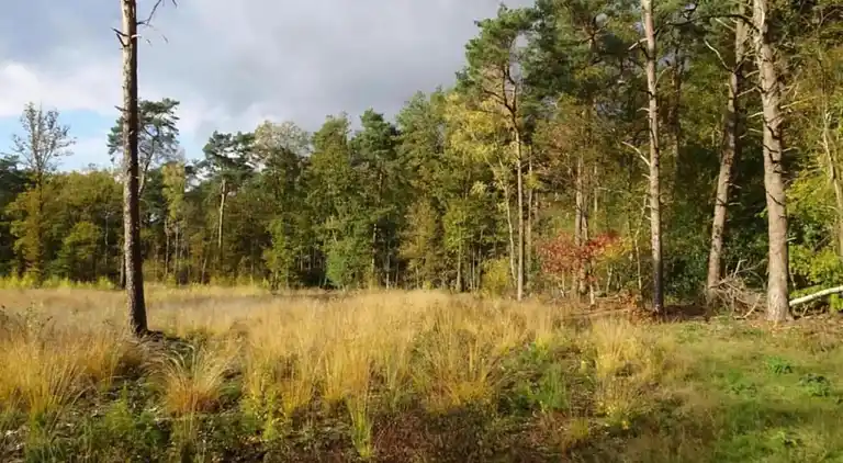 Ferienhaus in Hengelo