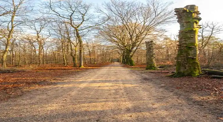 Bungalow i Hoenderloo