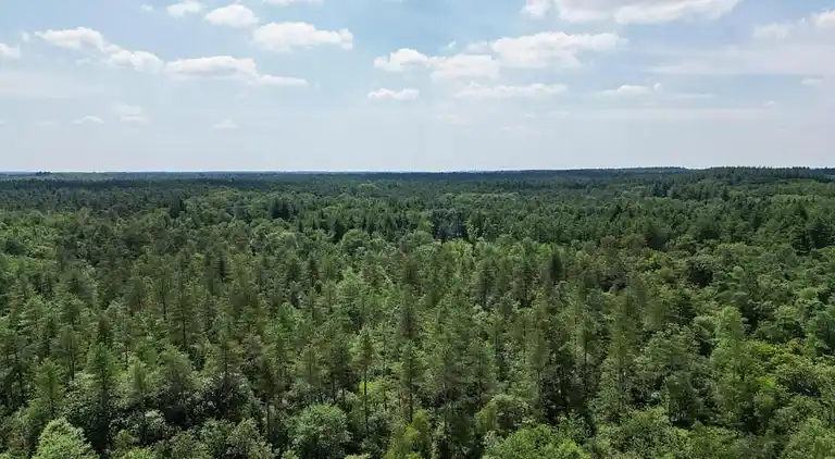 Bungalow i Hoenderloo