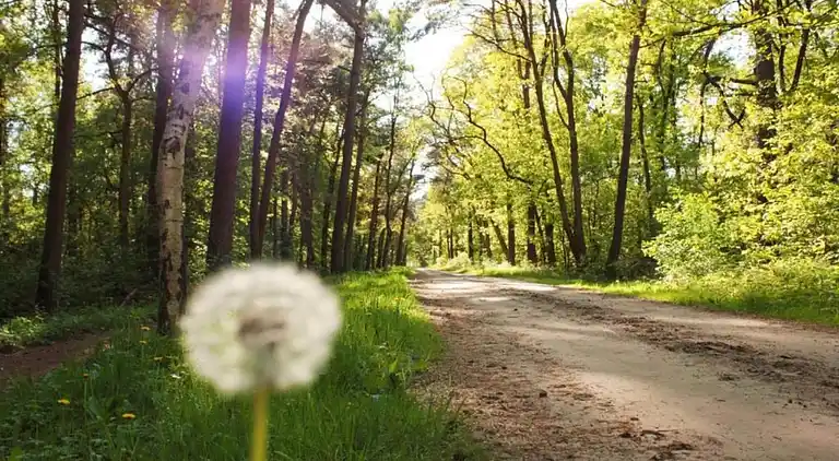 Ferienhaus in Hengelo