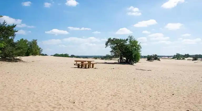 Sommerhus i Hoenderloo