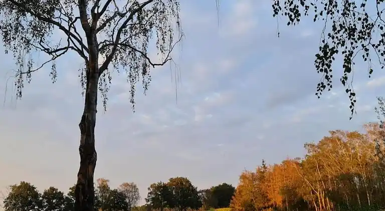 Ferienhaus in Hengelo