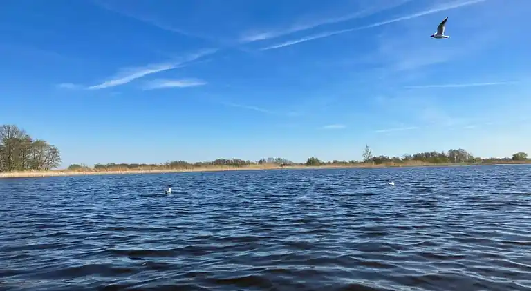 Villa in Wanneperveen