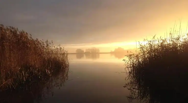 Villa in Wanneperveen