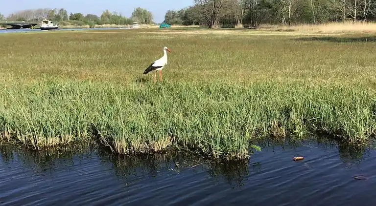Villa in Wanneperveen