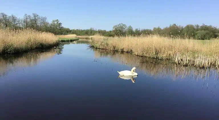 Villa in Wanneperveen